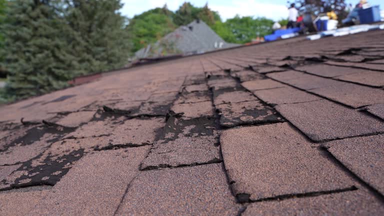 Best Gutter Installation and Repair  in Breckenridge, MI