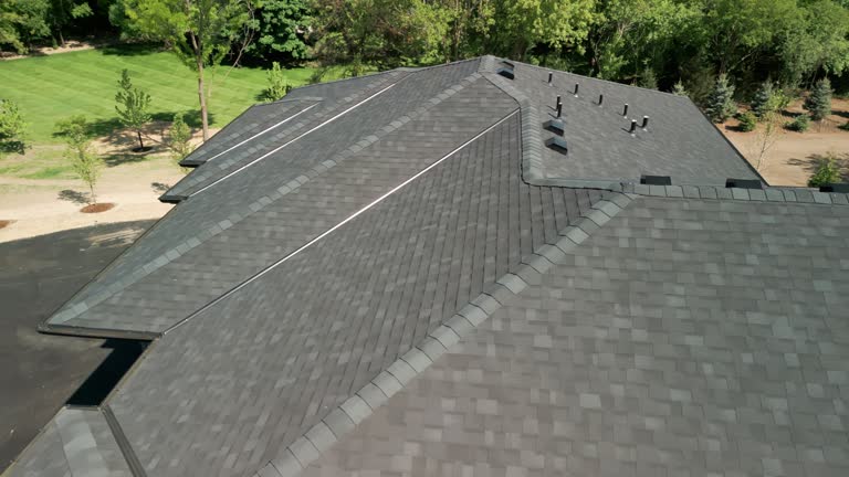 Best Roof Leak Repair  in Breckenridge, MI