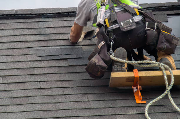 Best Roof Ventilation Installation  in Breckenridge, MI