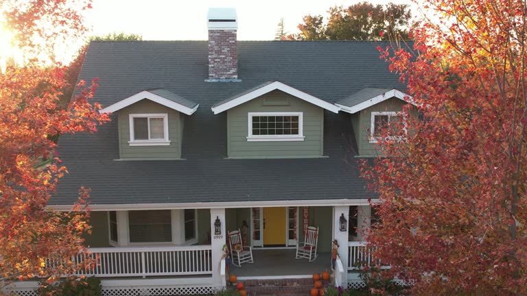 Best Sheet Metal Roofing  in Breckenridge, MI