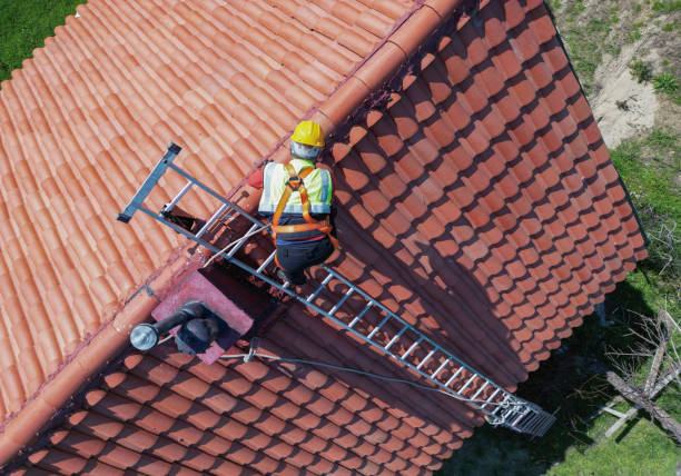 Best Chimney Flashing Repair  in Breckenridge, MI